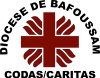 Logo-codas-caritas